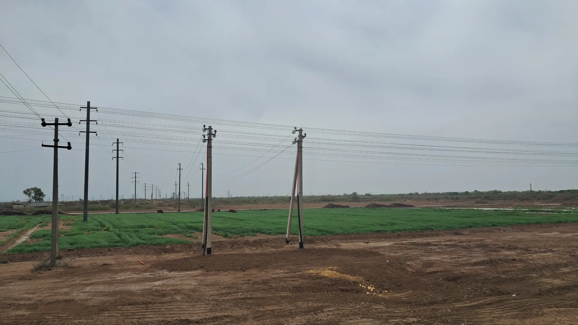 Power lines in green field